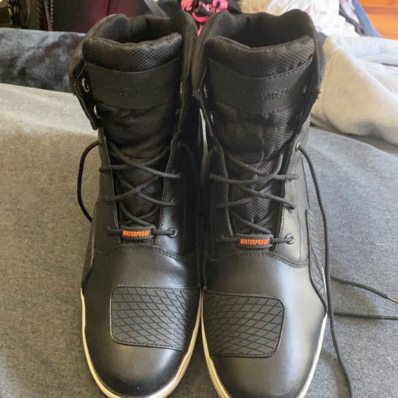 harley davidson holtman